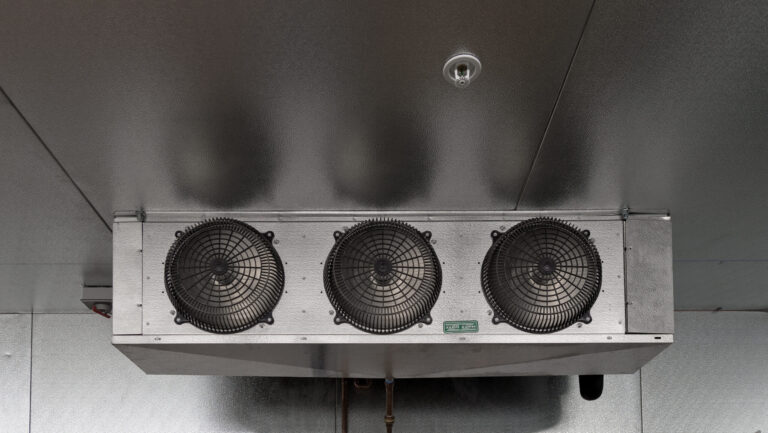 Trends in Sustainable Cold Storage Design