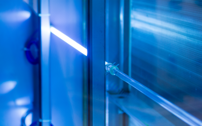UV Disinfection: An Engineering Perspective