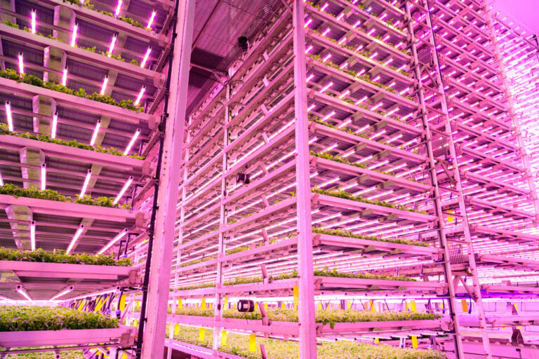Key Takeaways from Indoor Ag-Con 2022