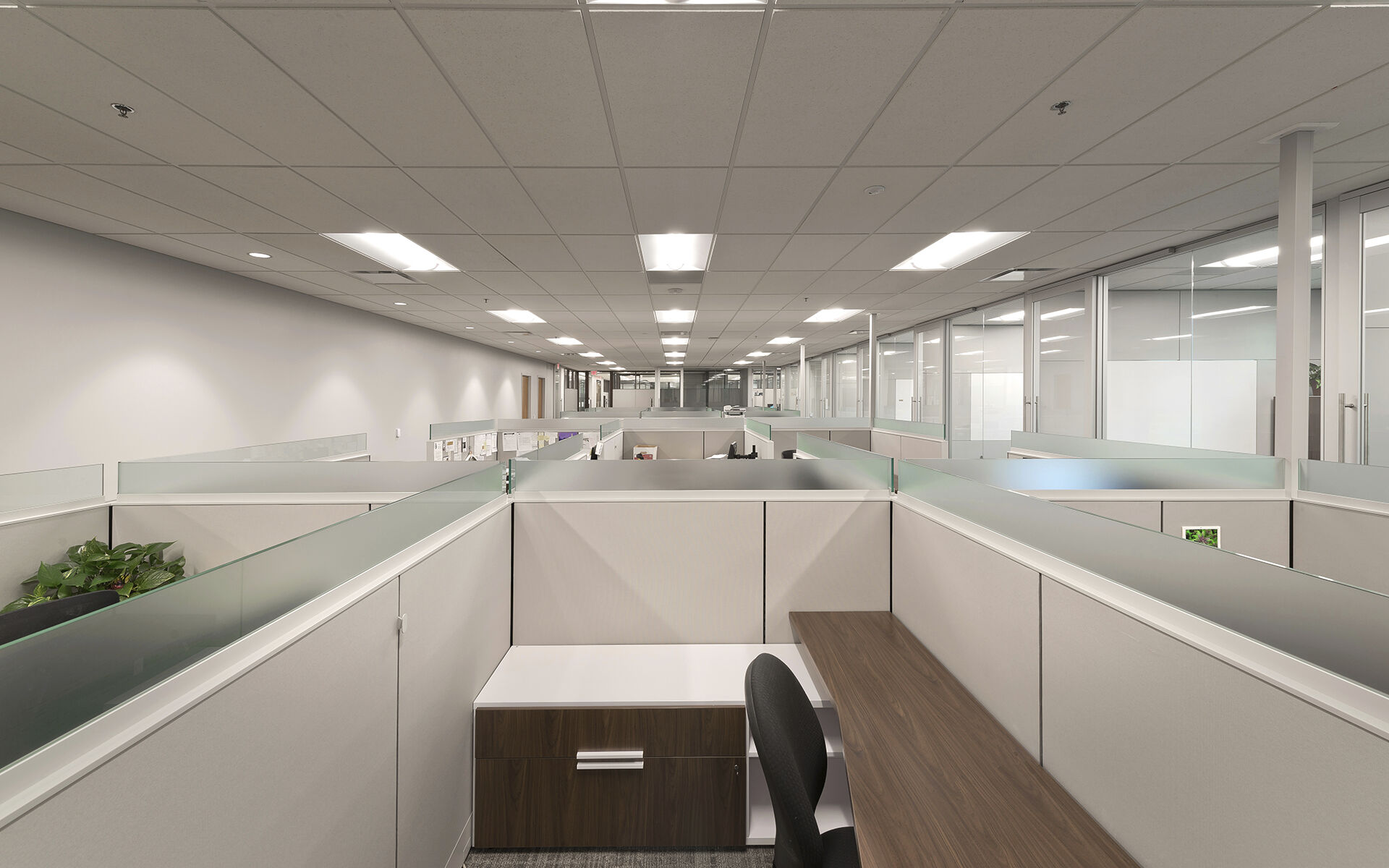 Midwest Trust Office Remodel