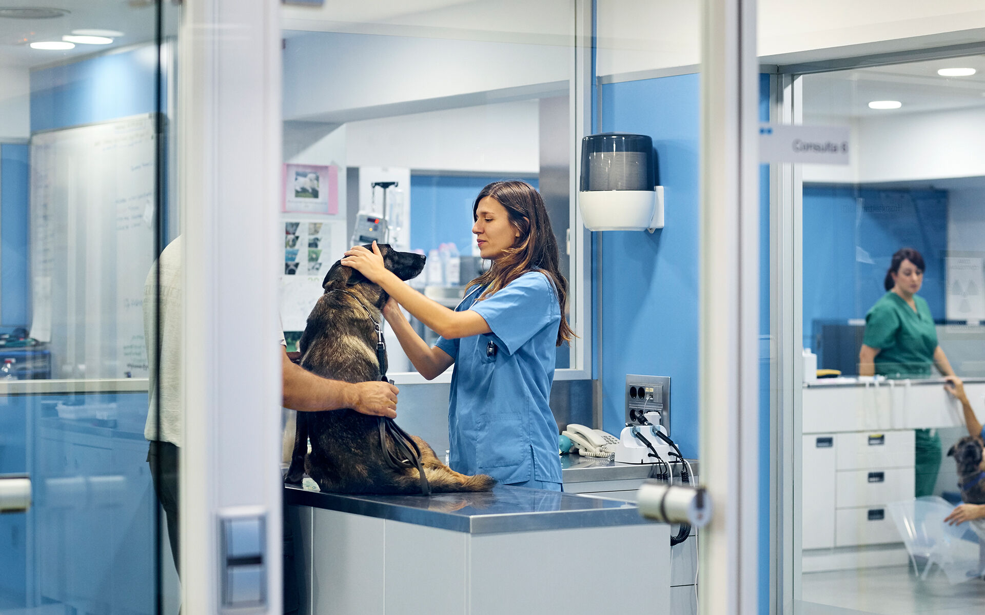 Confidential National Veterinary Care Provider Veterinary Care Clinic Improvements